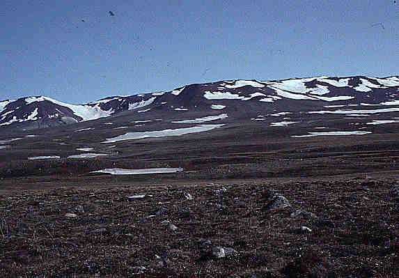Landscape Of Tundra