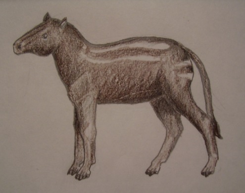 hyracotherium