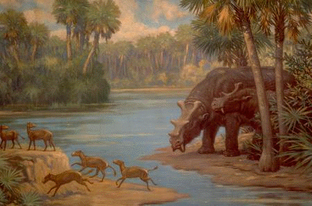 [ an Eocene scene from Wyomming ]