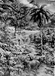 [ NA EOCENE JUNGLE ]