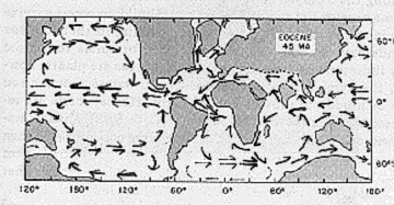 [ THE EOCENE'S TETHYS SEA ]