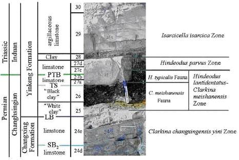 Permian Triassic Boundary