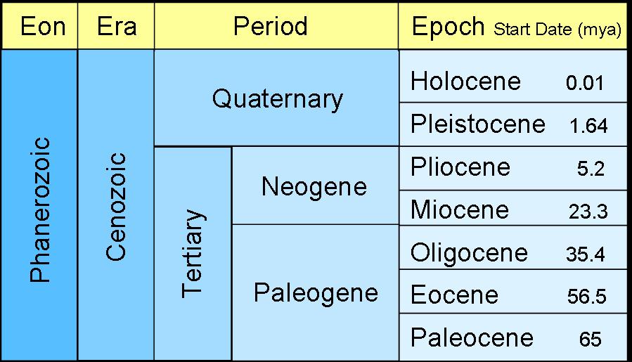 geologic time scale cenozoic