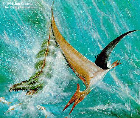 pteranodon