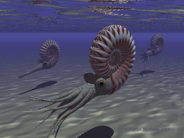 cretaceous sea animals